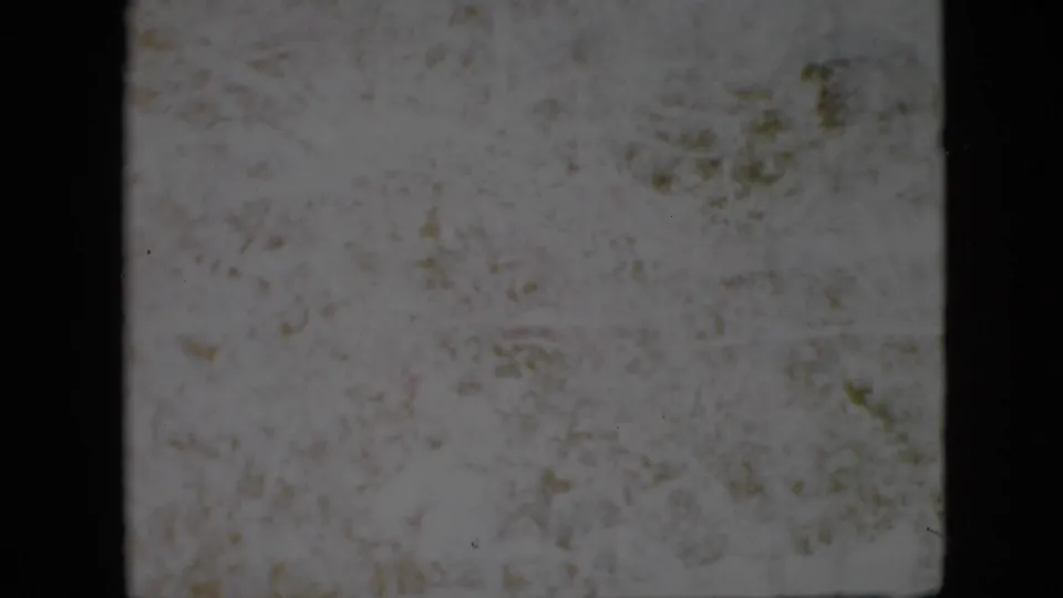 1958 Pennsylvania 8mm frame showing an indistinct pale surface with dark film borders, discoloration, specks, and faint plant-like forms.
