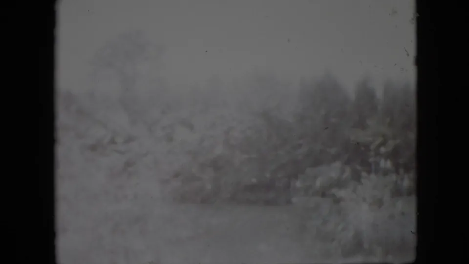 Blurred 8mm frame from the Pennsylvania clip showing snow, trees, bushes, and layered exposure with little distinct human detail visible.