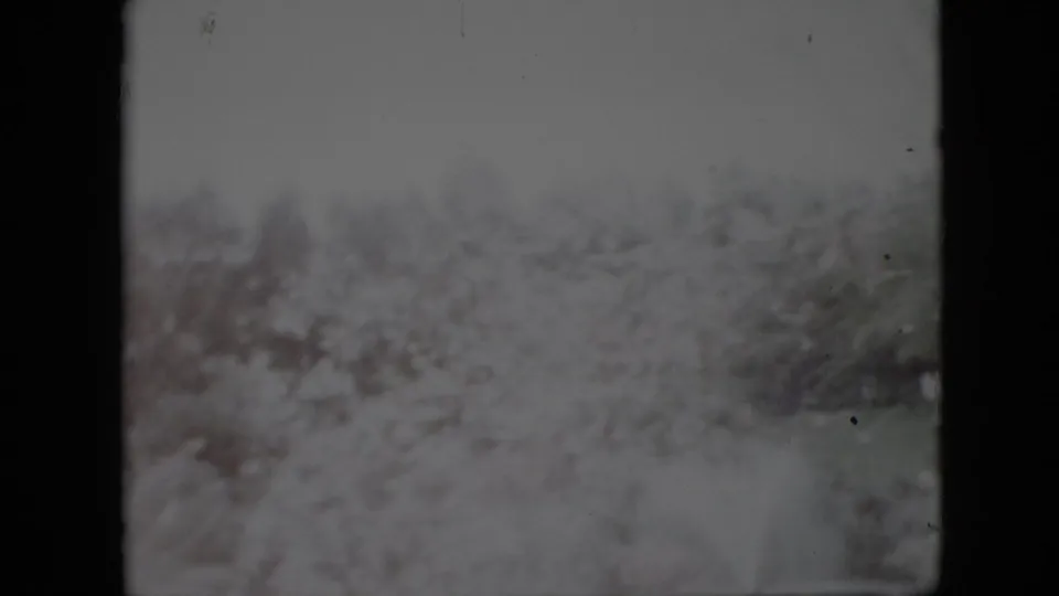 8mm frame from the 1958 Pennsylvania clip showing a soft snowy landscape with bushes, bare trees, film dust, and a faint layered exposure effect.