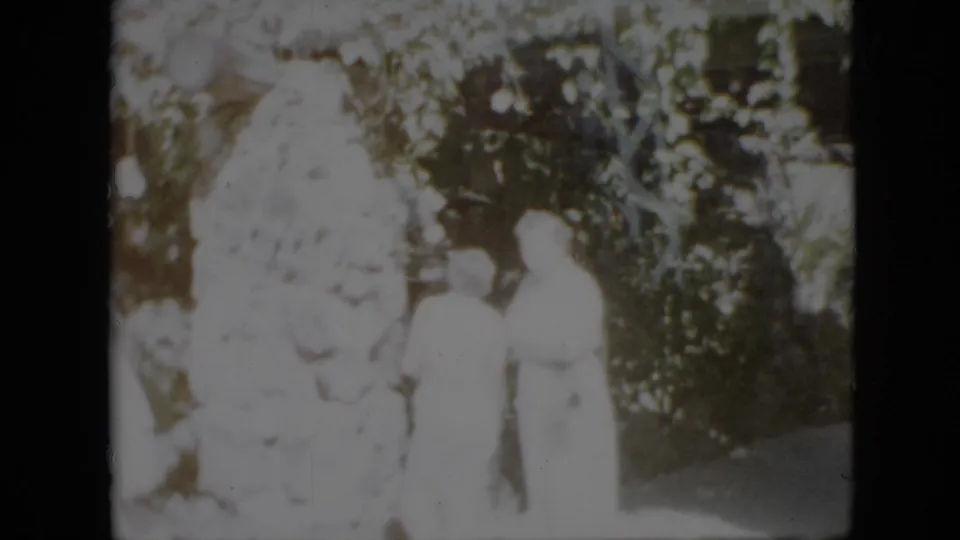 Two adult women in light clothing face one another beside the large tree, appearing to meet or greet in the residential yard.
