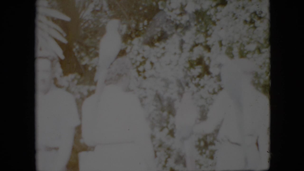 1958 Pennsylvania 8mm frame showing adults in light clothing posing in a leafy tropical-style setting with a white parrot visible near them.