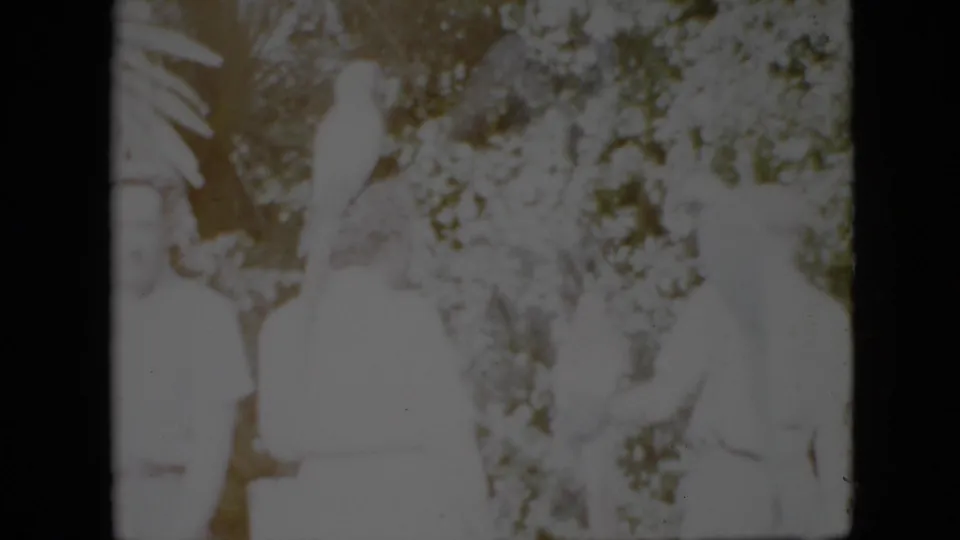 1958 Pennsylvania 8mm frame showing adults in light clothing posing in a leafy tropical-style setting with a white parrot visible near them.