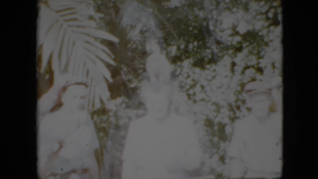 Three adults stand beneath palm fronds, with a parrot near the center figure.