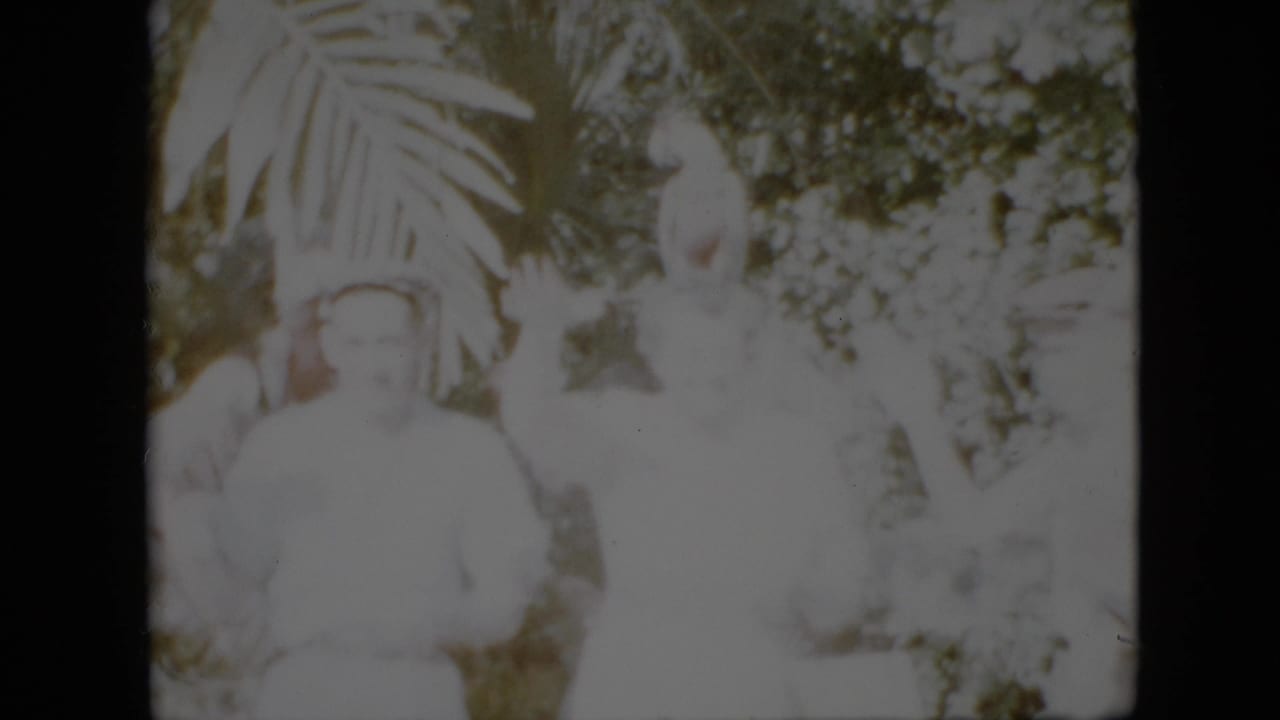 In metadata-supported 1958 Pennsylvania home-movie footage, several people stand outdoors near dense tropical-looking plants while a white bird is perched above them.
