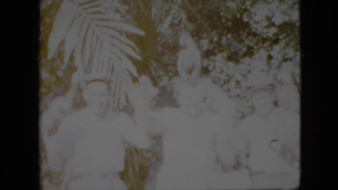 Group of people wave from a leafy outdoor setting with a pale bird perched overhead.