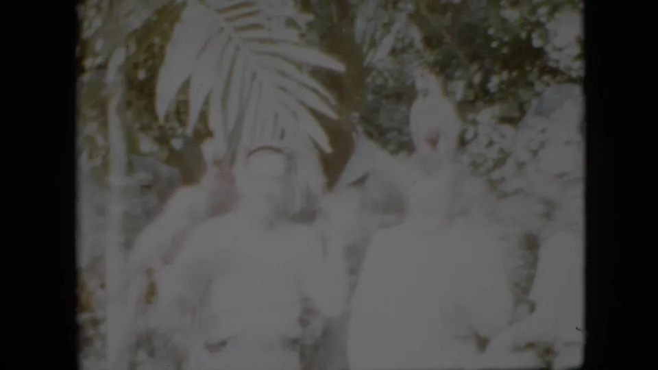 This soft 1958 home-movie frame shows a small group near broad tropical-looking leaves, with a white bird perched above them and faces partly washed out by exposure.