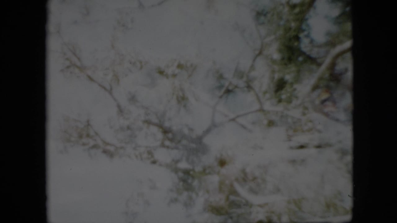 1958 Pennsylvania 8mm frame showing a soft, grainy view upward through snow-coated bare branches and sparse foliage against an overcast winter sky.