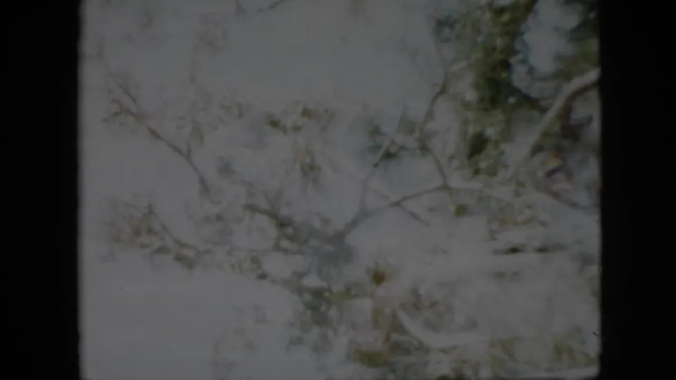 1958 Pennsylvania 8mm frame showing a soft, grainy view upward through snow-coated bare branches and sparse foliage against an overcast winter sky.