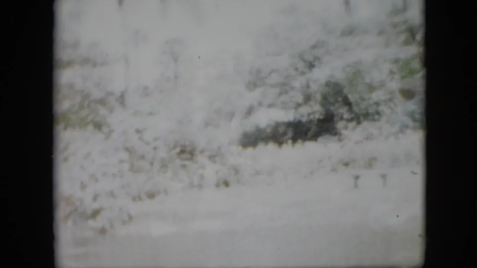 Overexposed 1958 Pennsylvania home-movie frame with faint outlines of trees, lawn, and yard surroundings after the picnic scene.