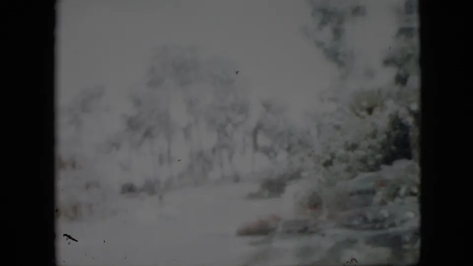Faded 1958 Pennsylvania 8mm frame with trees and brush in a bright wooded setting, with an indistinct object near the right edge.