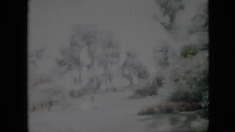 Faded 1958 Pennsylvania 8mm frame showing a soft view of trees and shrubs around pale wet ground or water in a wooded area.