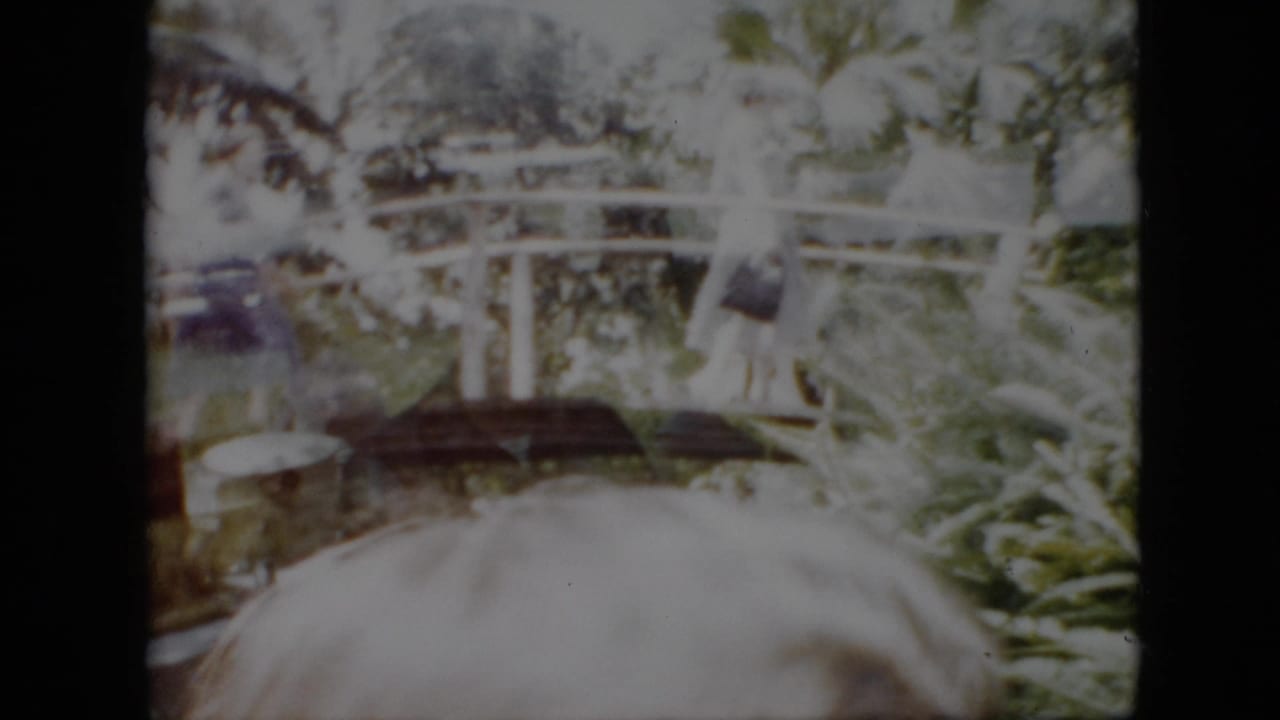 1958 Pennsylvania home-movie frame showing a white arched park bridge partly obscured by foliage and a light-haired person close in the foreground.