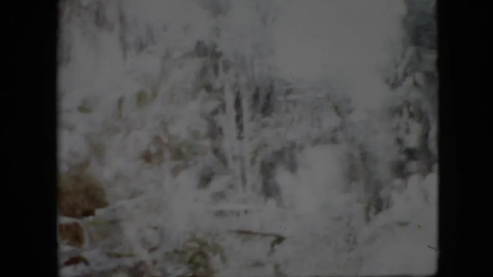 1958 Pennsylvania home-movie frame with bleached exposure, dense garden foliage, and a partially visible white bridge or railing in the park.