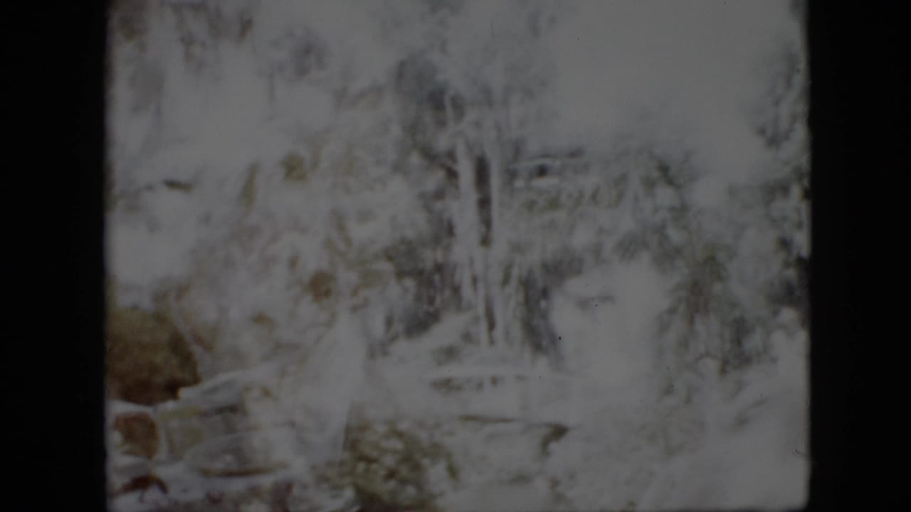 1958 Pennsylvania 8mm home-movie frame showing a snowy outdoor landscape with trees, foliage, pale highlights, and dark film borders.