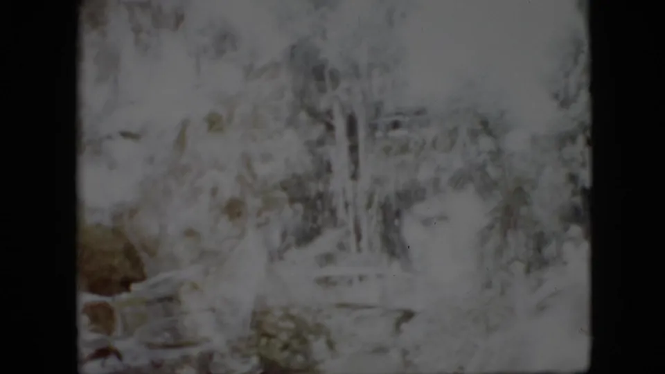 1958 Pennsylvania 8mm home-movie frame showing a snowy outdoor landscape with trees, foliage, pale highlights, and dark film borders.