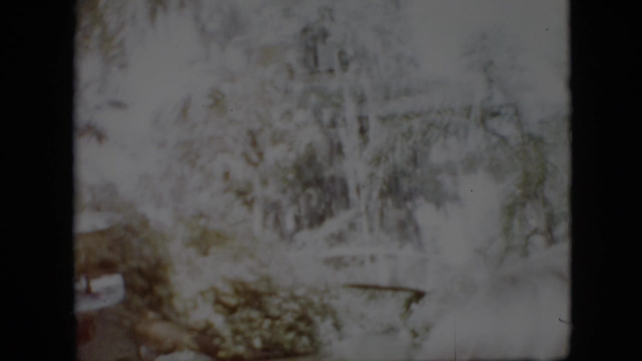 Bright snowy vegetation with dark 8mm frame edges and indistinct outdoor detail.