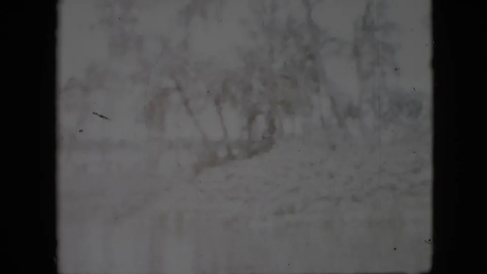 Soft 8mm frame of a riverbank with bare trees and brush passing beyond a dark vertical divider, consistent with a passenger view from a boat.