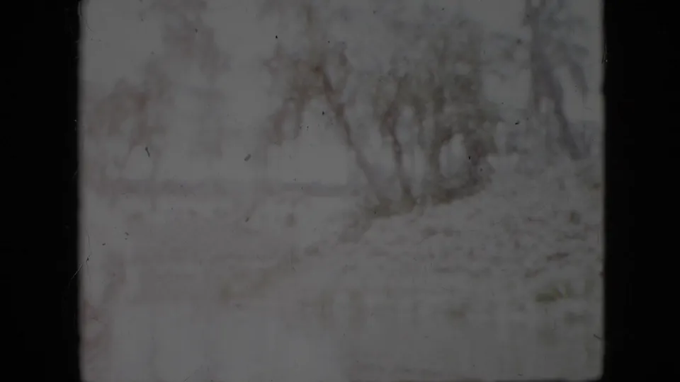 Final 8mm frame showing a soft river-edge landscape with trees and brush beyond a dark vertical boat-window or frame divider.