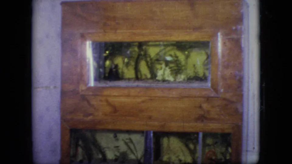 The final 1964 Philadelphia frame shifts to a wooden framed interior detail, possibly a door or panel with patterned glass or reflection, seen in soft 8mm focus.