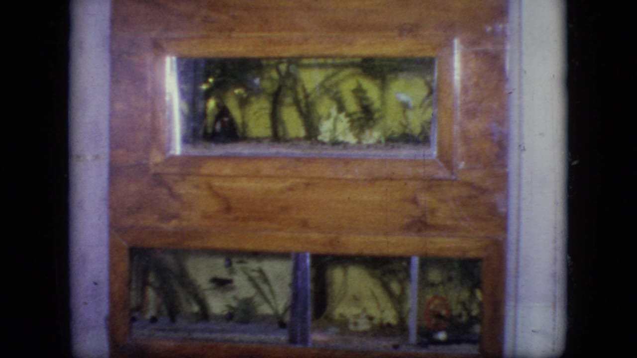 Close view of a wooden terrarium with foliage and lower glass compartments.