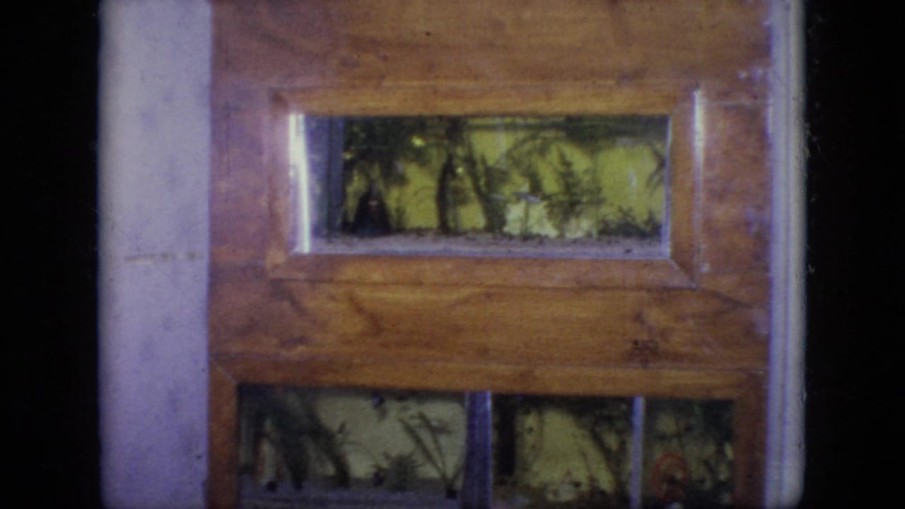1964 Philadelphia 8mm frame showing a varnished wooden display case with glass compartments and green artificial foliage behind the panes.