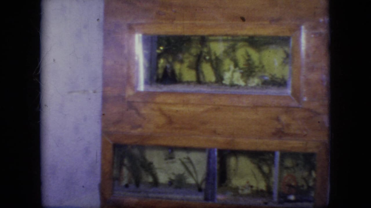 Close view of a wooden display case with green foliage behind glass.