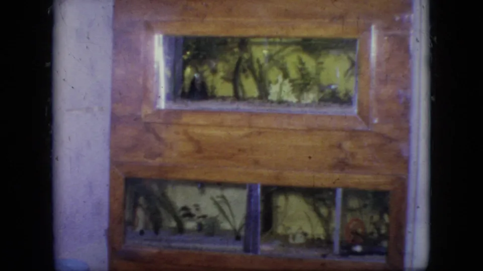 Final 1964 Philadelphia home-movie frame of the wooden display case, showing green artificial foliage through glass and the soft color of 8mm film.