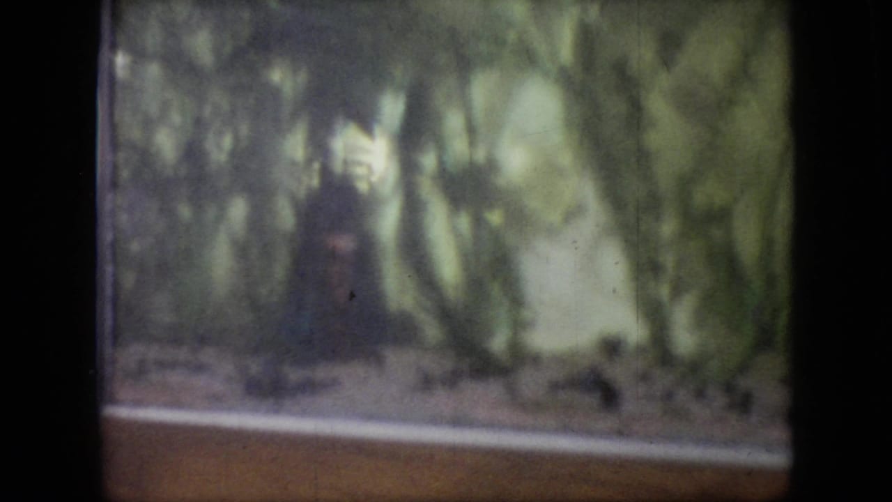 Dark indistinct animal or figure behind glass in a leafy enclosure.
