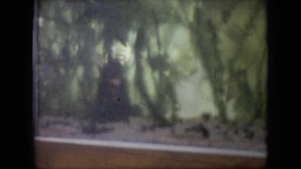 Grainy 1964 Philadelphia 8mm frame with an indistinct dark animal shape behind glass, surrounded by leafy enclosure foliage and a low ledge.