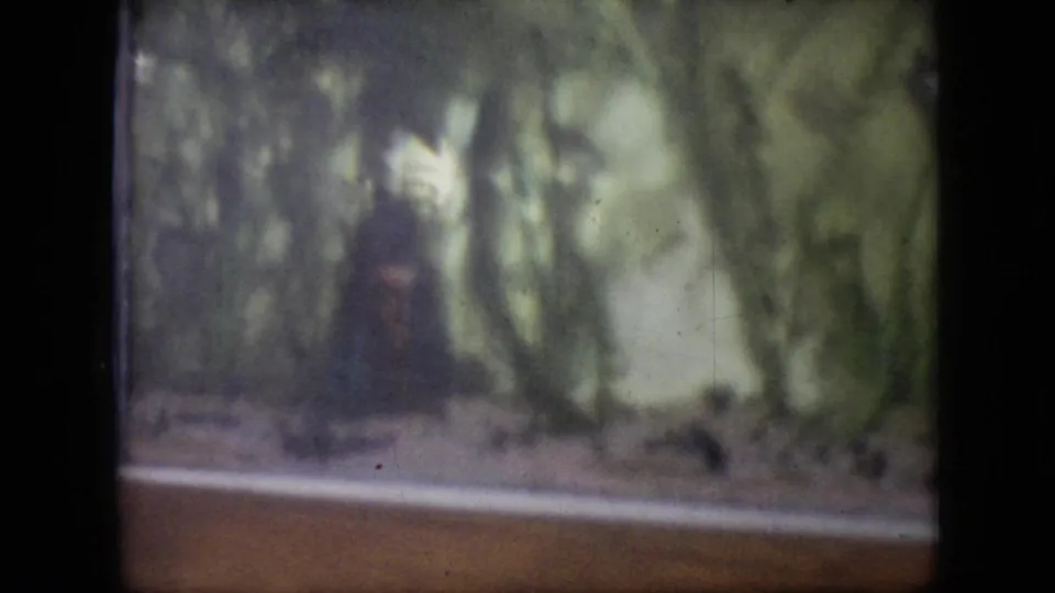 Soft, grainy 1964 Philadelphia home-movie frame looking through glass toward a leafy animal enclosure with an indistinct dark shape near the center.