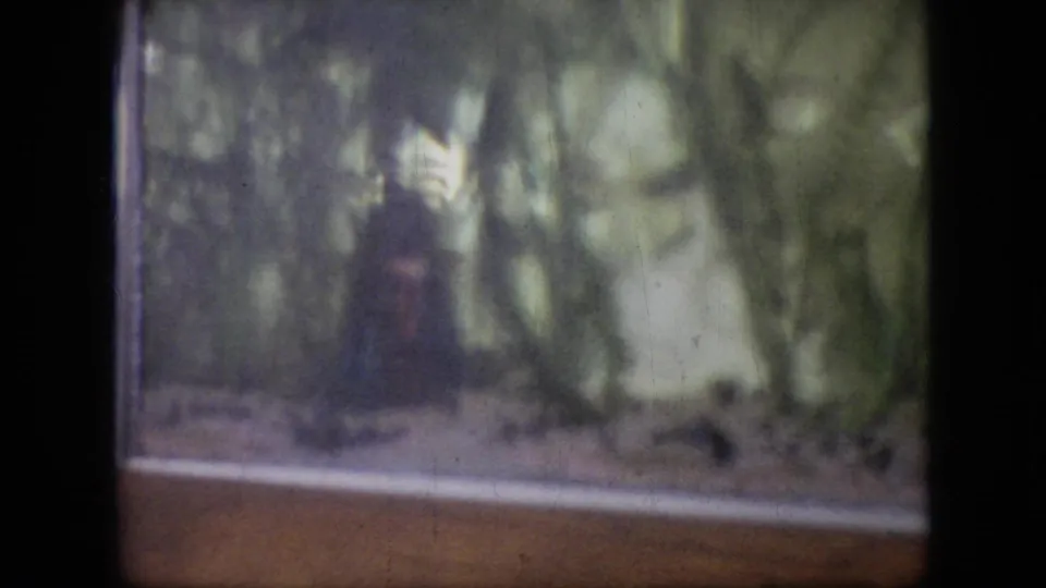 Grainy 1964 Philadelphia 8mm frame showing a blurred glass animal enclosure with foliage, a low ledge, and an indistinct dark animal form.