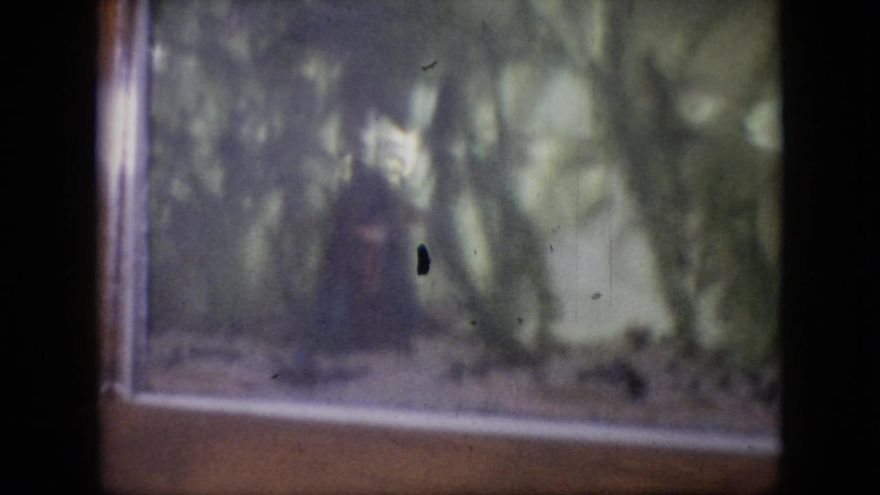 1964 Philadelphia 8mm frame showing a soft-focus aquarium view with green aquatic plants, pale substrate, and a small dark fish near the left side of the tank.
