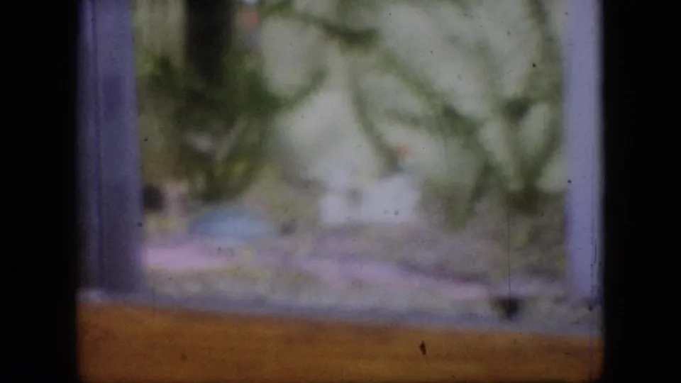 1964 Philadelphia 8mm frame showing a soft, grainy view of aquarium plants and pale substrate through the tank glass, with film borders visible around the frame.