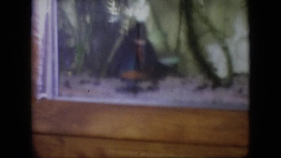 1964 Philadelphia home-movie frame of a built-in aquarium, with wood trim, green plants, pebbled substrate, and a small dark fish shape near the rear glass.