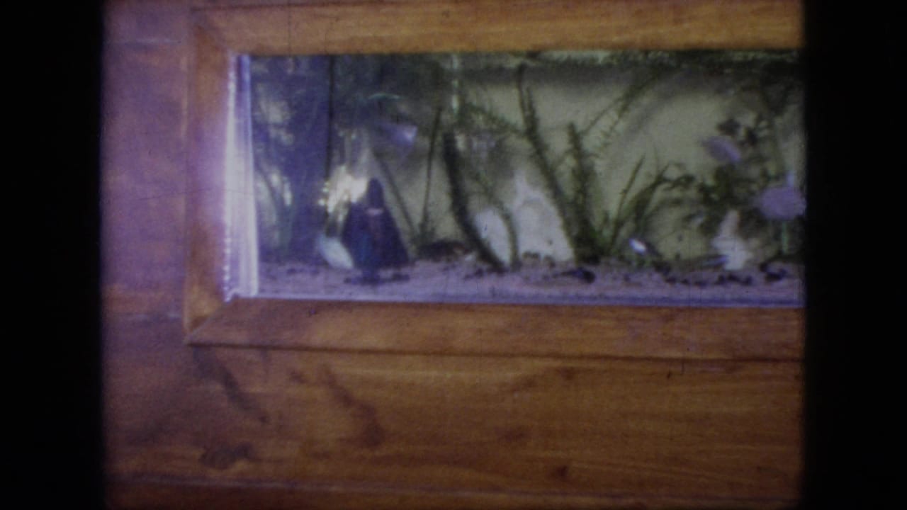 1964 Philadelphia-area 8mm frame showing a small glass aquarium in a wooden cabinet, with aquatic plants, gravel, and small fish moving near the left side.