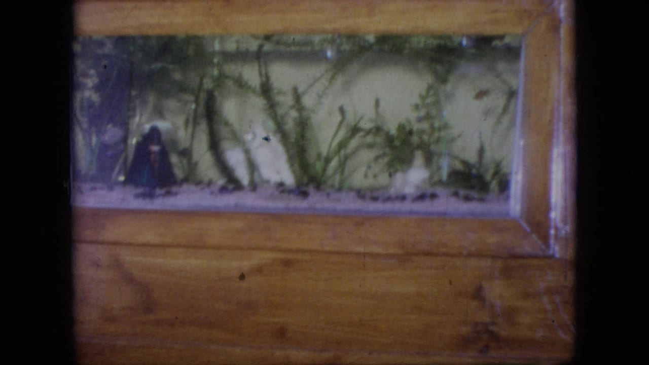 1964 Philadelphia home-movie frame showing a wood-framed fish tank with aquatic plants and a small dark figurine or object inside the tank.