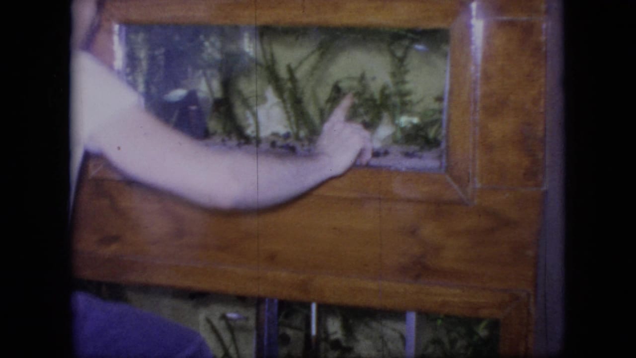 Person’s arm reaches across a wooden-framed aquarium.