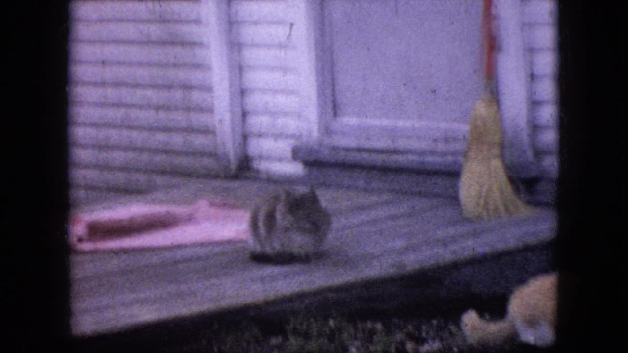 1964 Philadelphia home-movie frame showing a small animal on a wooden deck beside a broom and pink cloth near an exterior house wall.