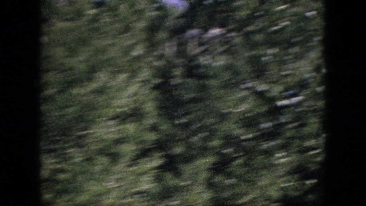 A 1964 8mm travel frame showing dense green roadside trees blurred by movement, with dark vertical edges suggesting a window or film-frame boundary.