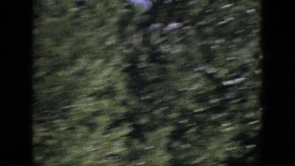 A 1964 8mm travel frame showing dense green roadside trees blurred by movement, with dark vertical edges suggesting a window or film-frame boundary.