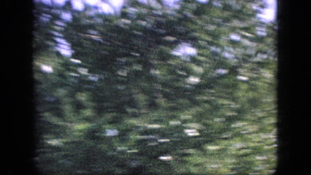 A soft, grainy 8mm frame of dense green woodland or roadside foliage, heavily blurred by motion during the travel shot.