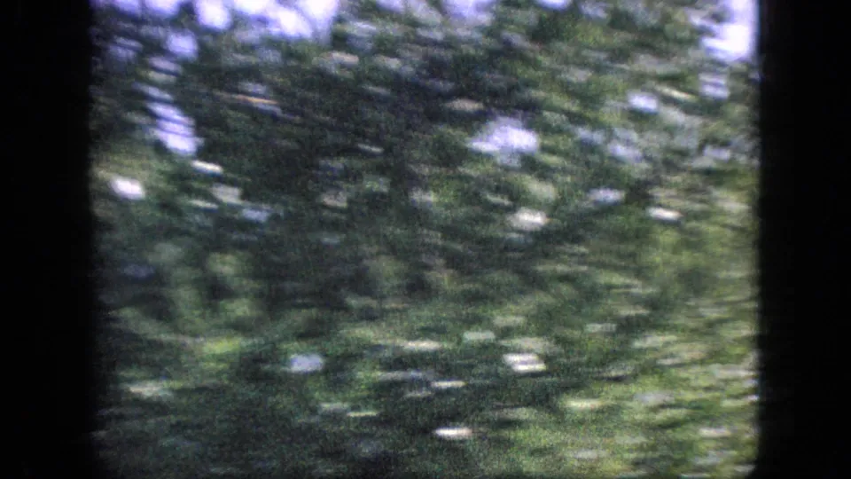 A soft, grainy 8mm frame of dense green woodland or roadside foliage, heavily blurred by motion during the travel shot.