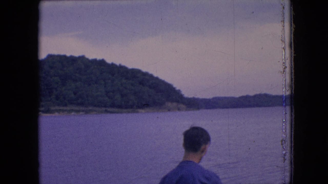 Man in a blue shirt faces away while looking across open water toward a wooded shore.