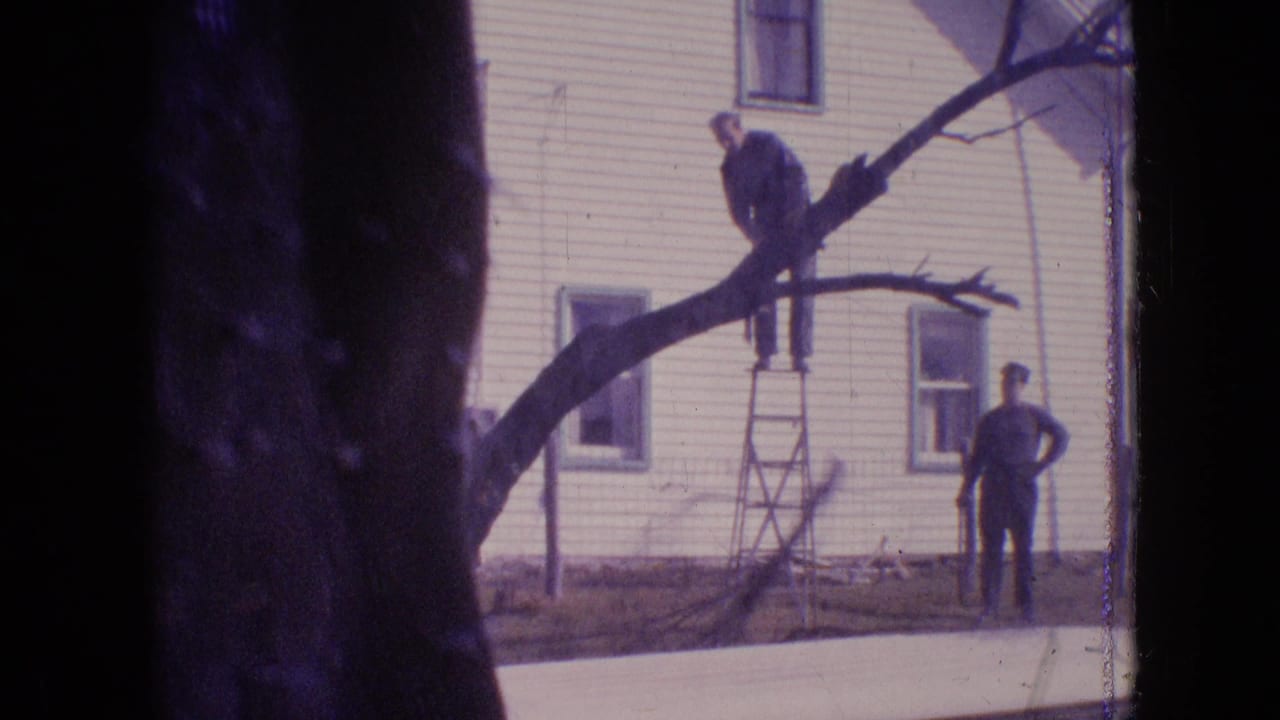 1964 Philadelphia home-movie frame with one man positioned on a ladder among tree branches and another man standing below near the white house.