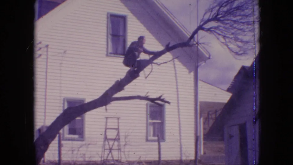 1964 Philadelphia home-movie frame showing a man balanced on a large tree limb near a white house, with a ladder below and bare branches around him.