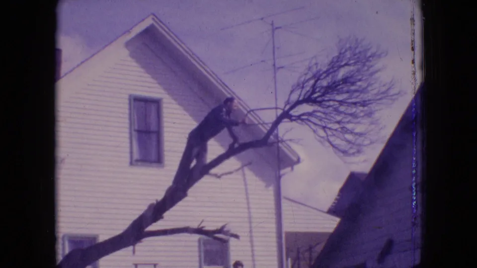 1964 Philadelphia home-movie frame showing a man in dark clothing positioned on a large bare tree limb beside a white house.