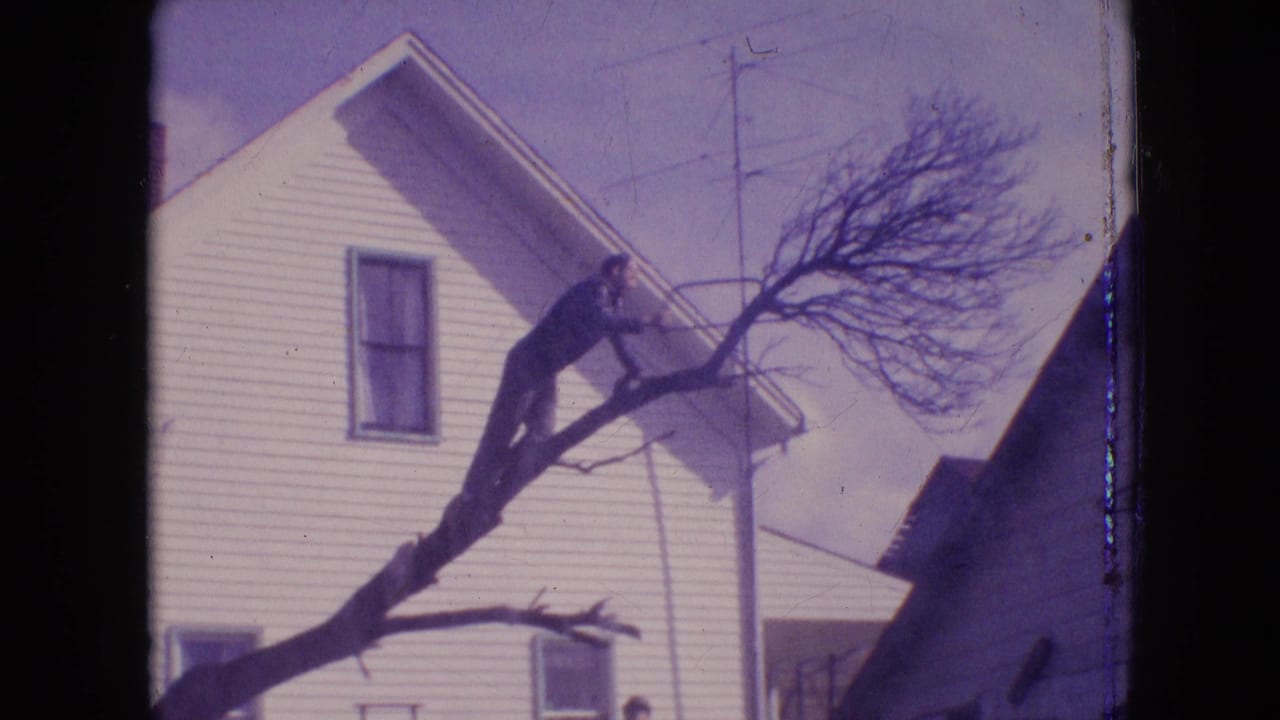 Man works on a tree limb beside a white house and overhead wires.