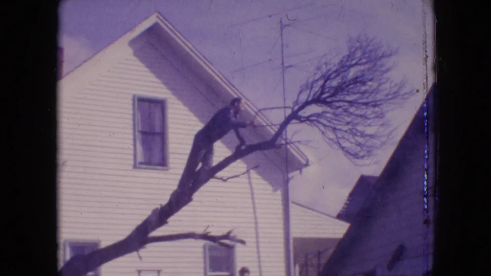 A man appears to saw or handle a large tree branch near a white residential house in 1964 Philadelphia footage.