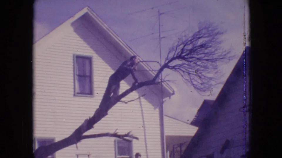 Home-movie frame from Philadelphia in 1964 showing the man balanced on the thick tree limb as he continues residential tree work.