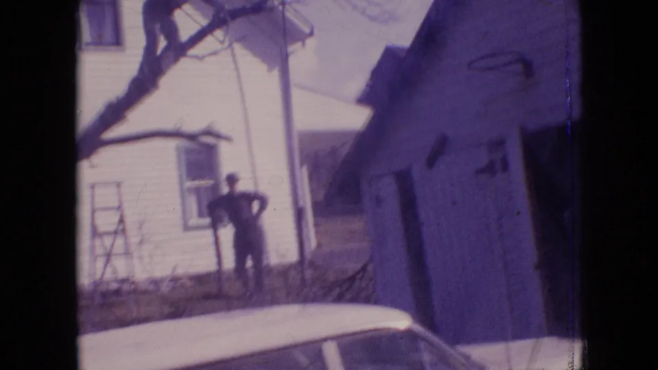 A later frame shows the large branch lowered or falling across the foreground, with a standing observer near the white house and a garage or shed at right.